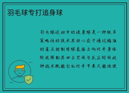 羽毛球专打追身球