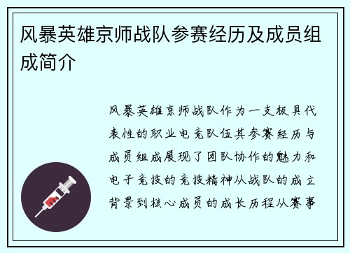 风暴英雄京师战队参赛经历及成员组成简介