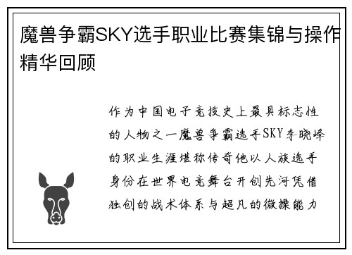 魔兽争霸SKY选手职业比赛集锦与操作精华回顾
